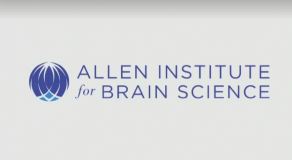 $300 million more for brain research