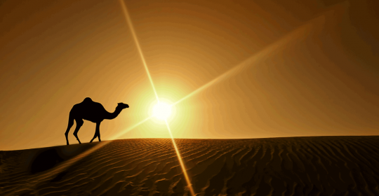 Multiple Sclerosis in UAE | Too Less Sun?