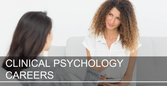 Clinical Psychologist / Counsellor