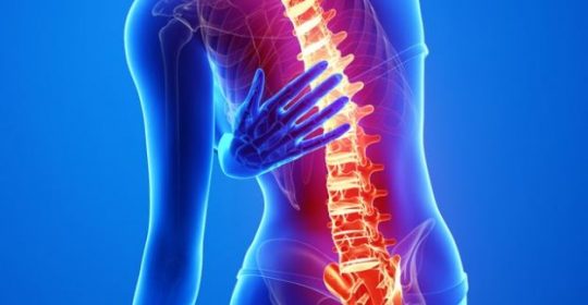 An Overview of Spinal Cord Disorders