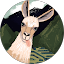 Sabah Hussain Avatar
